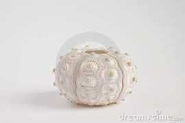 dreamstime.com Dimol
