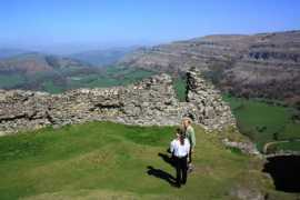 Dinas