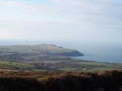 Dinas
