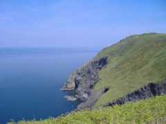Dinas