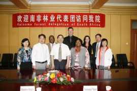 lgy.forestry.gov.cn Dingile