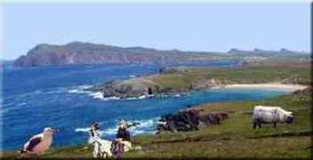 dingle-region.com Dinglee