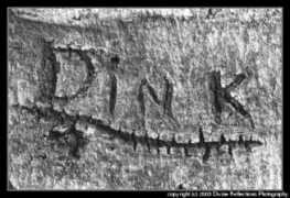 Dink