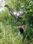 tubulamarok.free.fr Dinodino