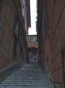 Diogines