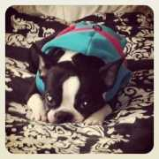 bangor.wcsh6.com Diorne