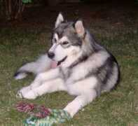 overvaleanddale.free.fr Diouka