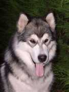 overvaleanddale.free.fr Diouka