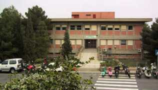 dmi.unict.it Dipartimento