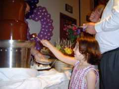alaskachocolatefountains.com Diping