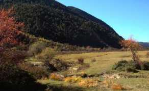 Diqing