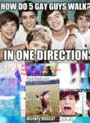 Directioner