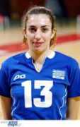 fivb.org Dirva