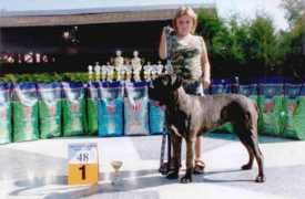 canecorso.cz Dirya