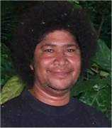 fijibure.com Disele