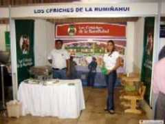 Disensa