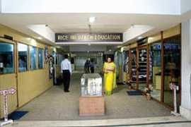 riceindia.org Dishari