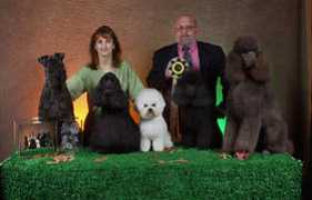 petgroomer.com Disilva