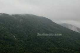 zonkerala.com Distant
