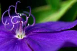 index.hr Distinguished