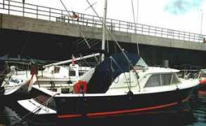 bertram31.com Distone