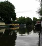 Ditton