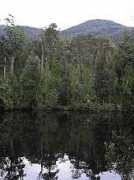 lochstein.de Diuck