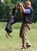 dobermann.pl Diuck