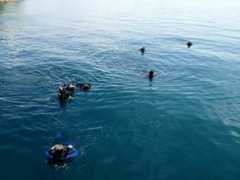 Dive