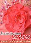 Divero