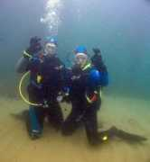 Dives