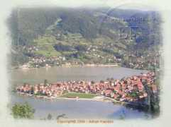 Divic