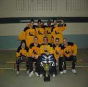 lshl.net Divii