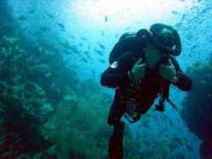 Diving