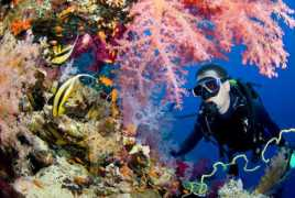 Diving