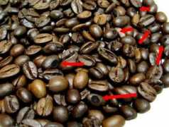 coffeetime.wikidot.com Divot