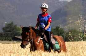 enduranceitalia.it Djamina