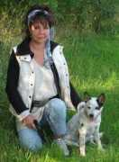 workingcattledog.com Djanda