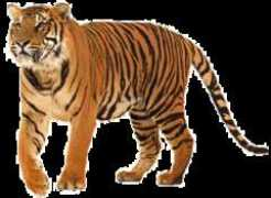 rallsr2.k12.mo.us Djarman