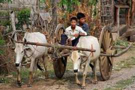 slike.n3po.com Djece