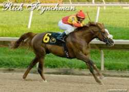 rosebrookfarm.com Djendel