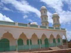 Djibo