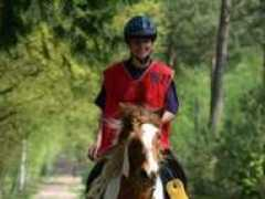 endurance-forum.nl Djilan