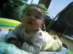 blog.ci123.com Djma