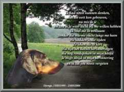 dobermannsite.nl Djongo