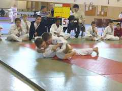 judoclubcestas.free.fr Dlucas