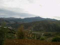 panoramio.com Dmani