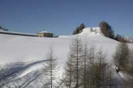 Doana