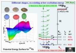 fuw.edu.pl Dobaczewski