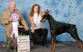 Dobe
